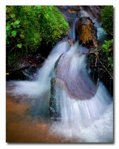 Small Falls On The Siuslaw River