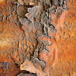 Rust and Peeling Paint