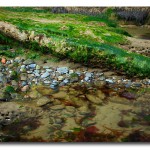 Tide Pool at Seal Rock