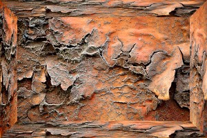 Box of Rust