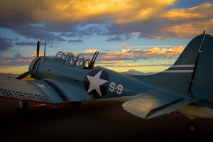 Fighter At Sunset