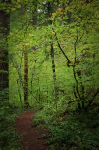 Litton Lake Trail